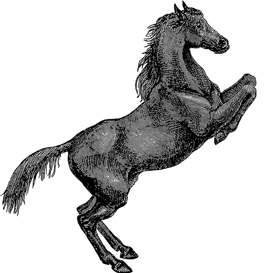 IGAME
